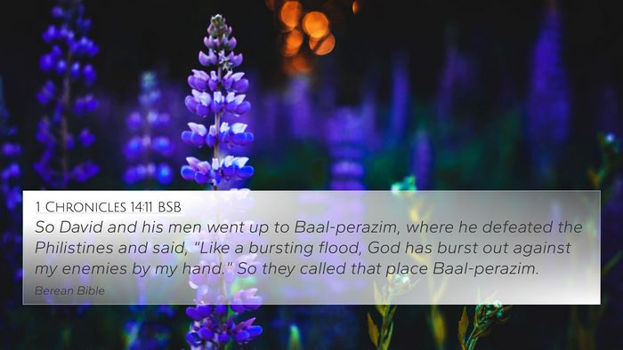 1 Chronicles 14:11 BSB Bible Verse Image