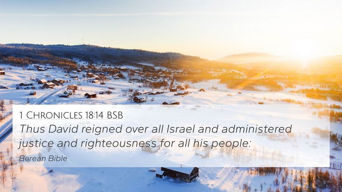 1 Chronicles 18:14 BSB Bible Verse Image