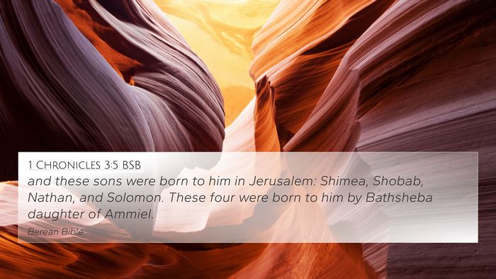 1 Chronicles 3:5 BSB Bible Verse Image