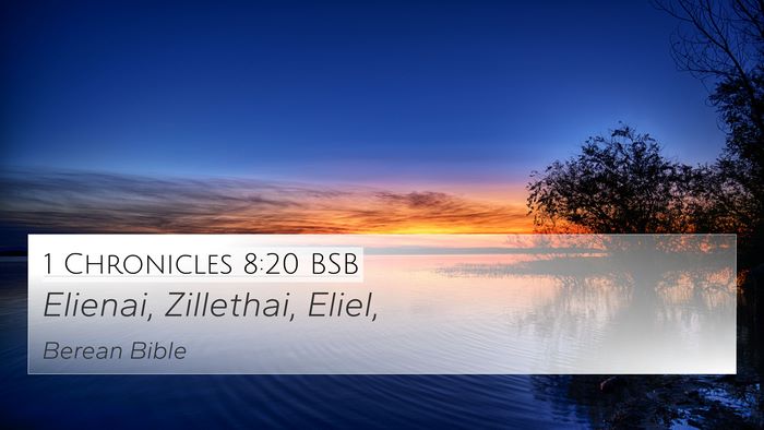 1 Chronicles 8:20 BSB 4K Wallpaper - Elienai, Zillethai, - 4K Wallpaper Bible Verse
