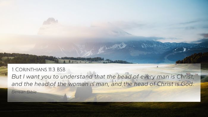 1 Corinthians 11:3 BSB Bible Verse Image
