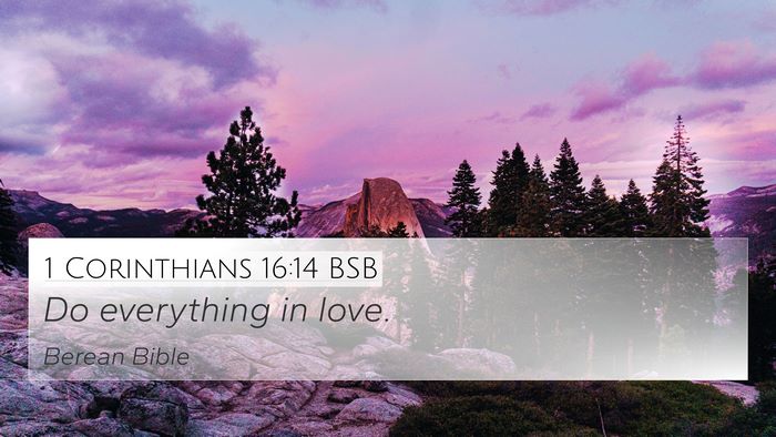 1 Corinthians 16:14 BSB Bible Verse Image