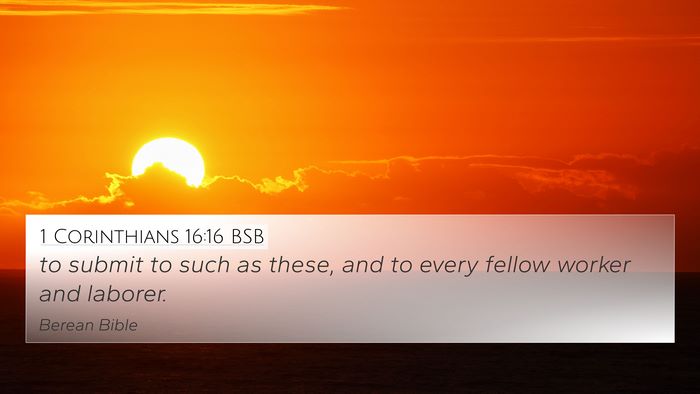 1 Corinthians 16:16 BSB Bible Verse Image