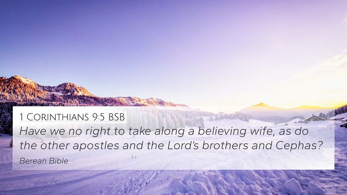 1 Corinthians 9:5 BSB Bible Verse Image