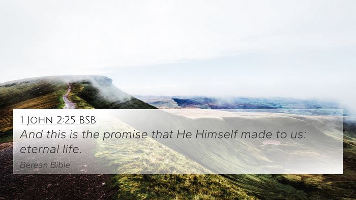 1 John 2:25 BSB Bible Verse Image