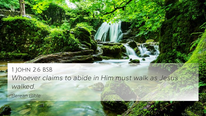 1 John 2:6 BSB Bible Verse Image