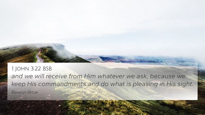 1 John 3:22 BSB Bible Verse Image
