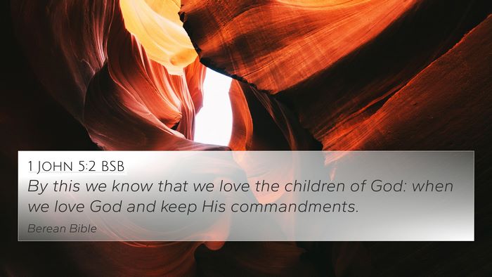 1 John 5:2 BSB Bible Verse Image