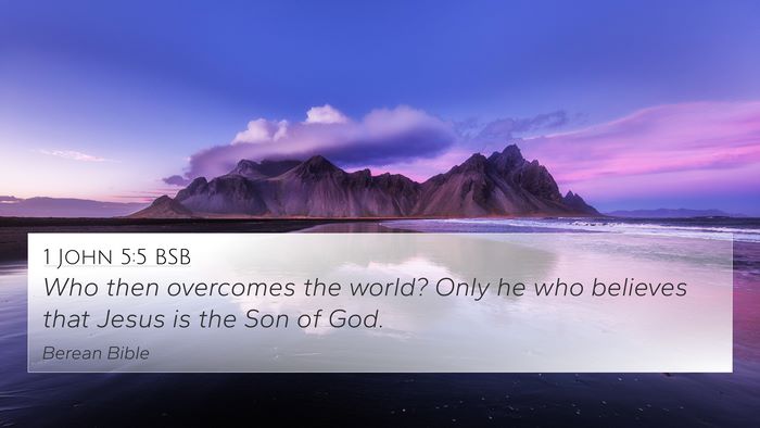 1 John 5:5 BSB Bible Verse Image