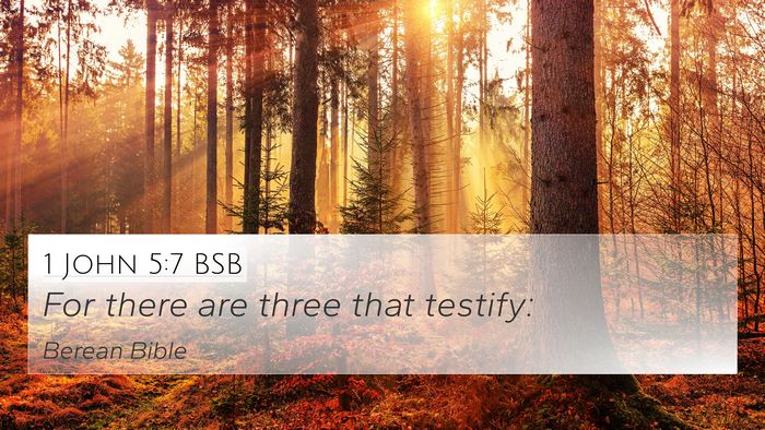 1 John 5:7 BSB Bible Verse Image