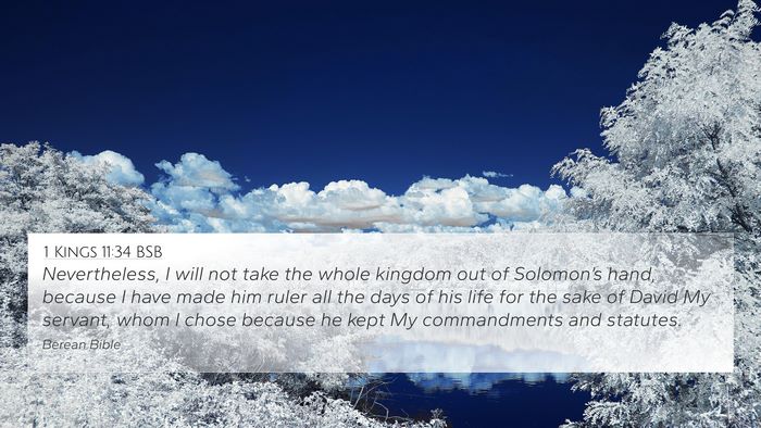 1 Kings 11:34 BSB Bible Verse Image