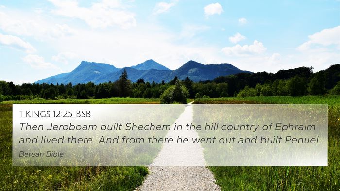 1 Kings 12:25 BSB Bible Verse Image