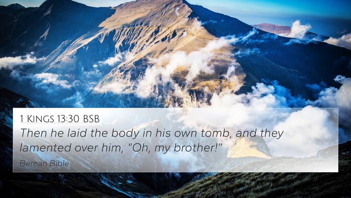 1 Kings 13:30 BSB Bible Verse Image