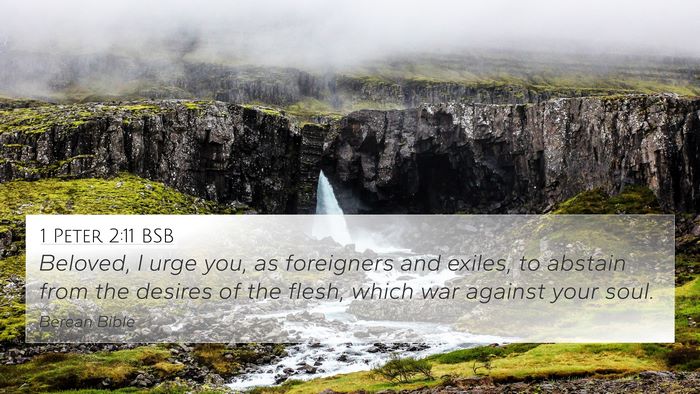1 Peter 2:11 BSB 4K Wallpaper - Beloved, I urge you, as foreigners and exiles, to - 4K Wallpaper Bible Verse
