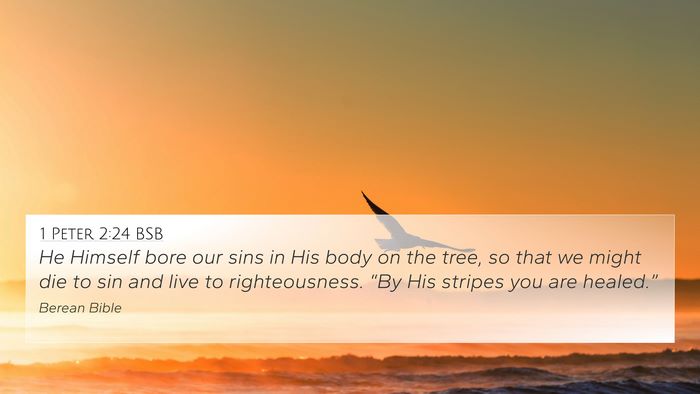 1 Peter 2:24 BSB Bible Verse Image