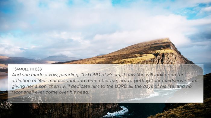 1 Samuel 1:11 BSB Bible Verse Image