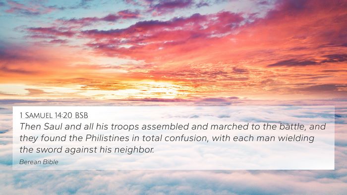1 Samuel 14:20 BSB Bible Verse Image
