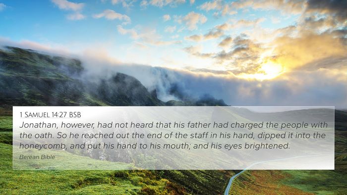 1 Samuel 14:27 BSB Bible Verse Image