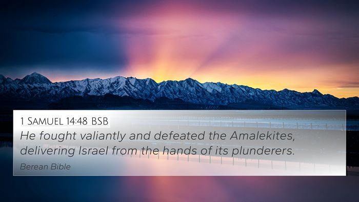 1 Samuel 14:48 BSB Bible Verse Image