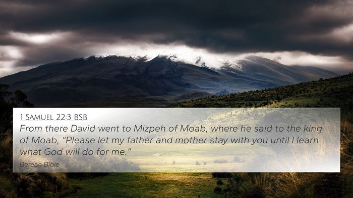 1 Samuel 22:3 BSB Bible Verse Image