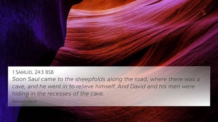 1 Samuel 24:3 BSB Bible Verse Image
