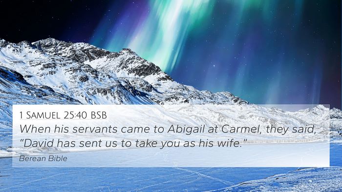 1 Samuel 25:40 BSB 4K Wallpaper - When his servants came to Abigail at Carmel, they - 4K Wallpaper Bible Verse