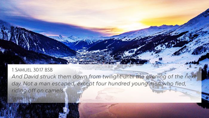 1 Samuel 30:17 BSB Bible Verse Image