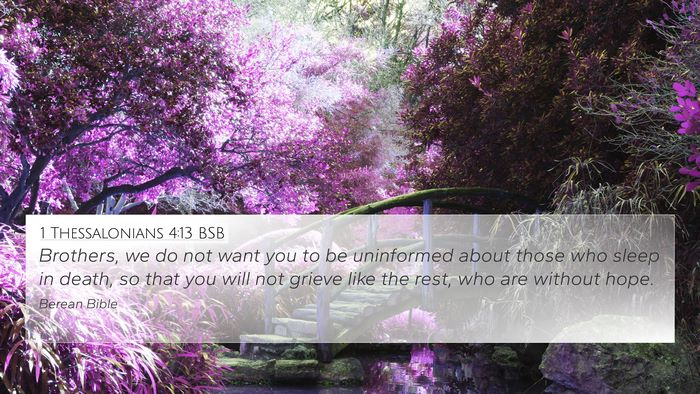 1 Thessalonians 4:13 BSB Bible Verse Image