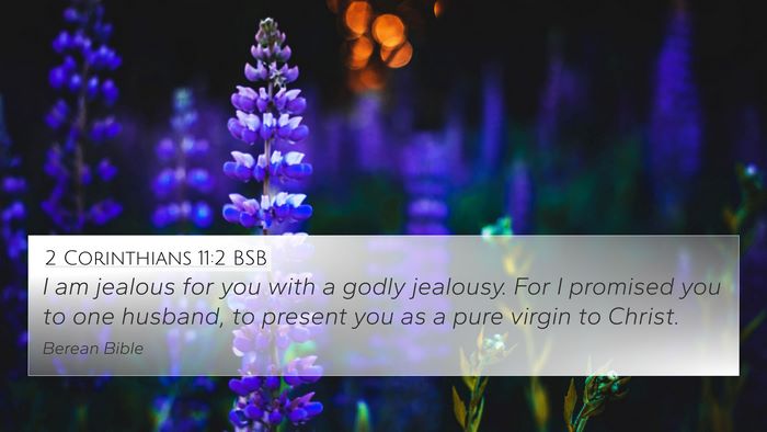 2 Corinthians 11:2 BSB Bible Verse Image