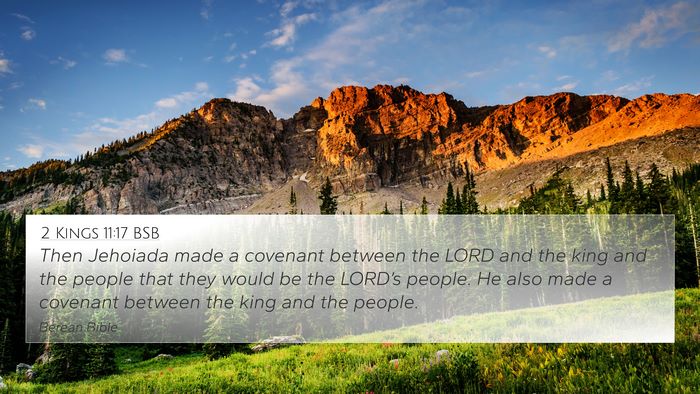 2 Kings 11:17 BSB Bible Verse Image