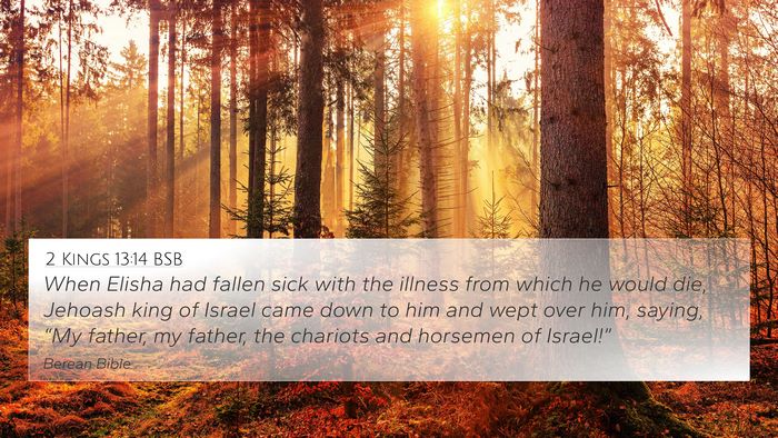 2 Kings 13:14 BSB Bible Verse Image