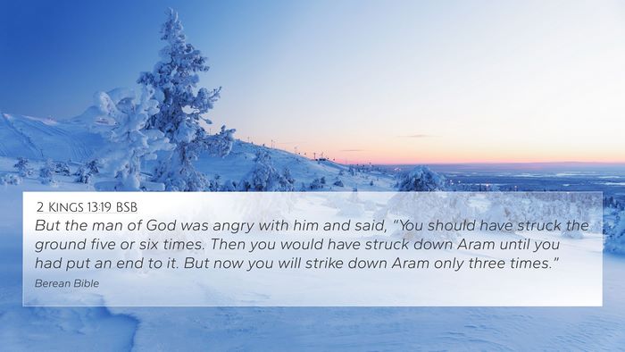 2 Kings 13:19 BSB Bible Verse Image