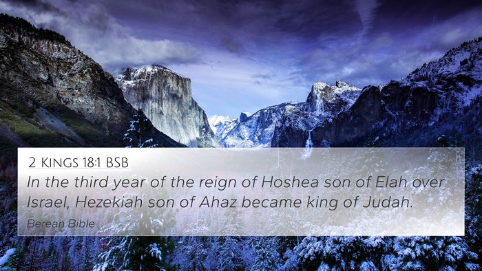 2 Kings 18:1 BSB Bible Verse Image