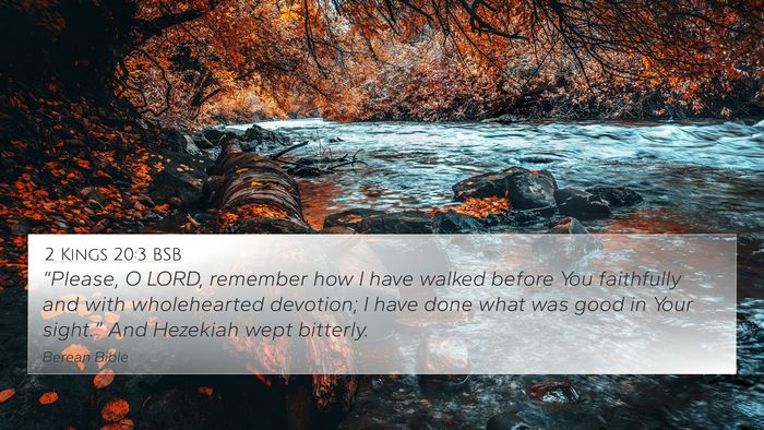 2 Kings 20:3 BSB Bible Verse Image