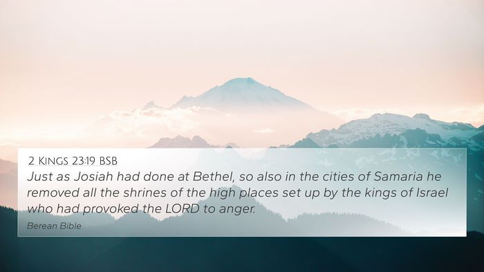 2 Kings 23:19 BSB Bible Verse Image