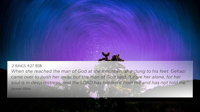 2 Kings 4:27 BSB Bible Verse Image