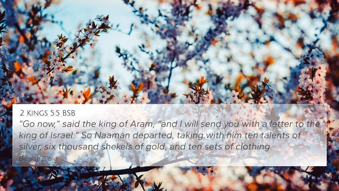 2 Kings 5:5 BSB Bible Verse Image