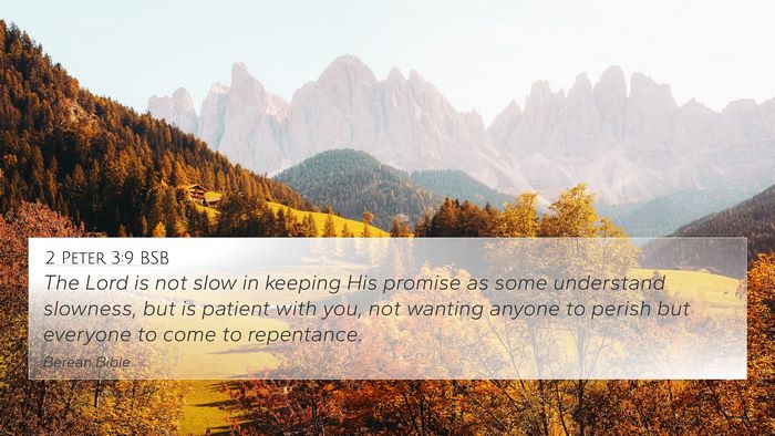 2 Peter 3:9 BSB Bible Verse Image