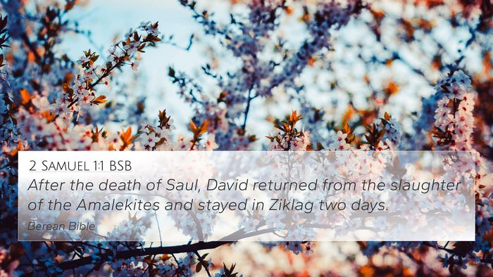 2 Samuel 1:1 BSB 4K Wallpaper - After the death of Saul, David returned from the - 4K Wallpaper Bible Verse