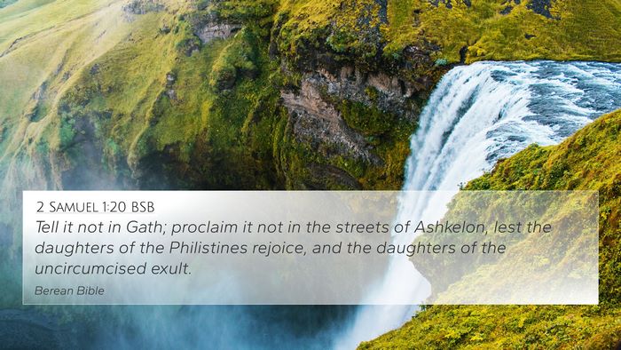 2 Samuel 1:20 BSB Bible Verse Image