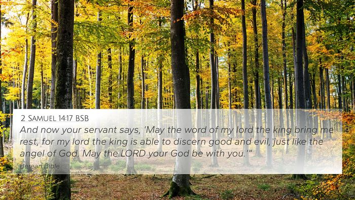 2 Samuel 14:17 BSB Bible Verse Image