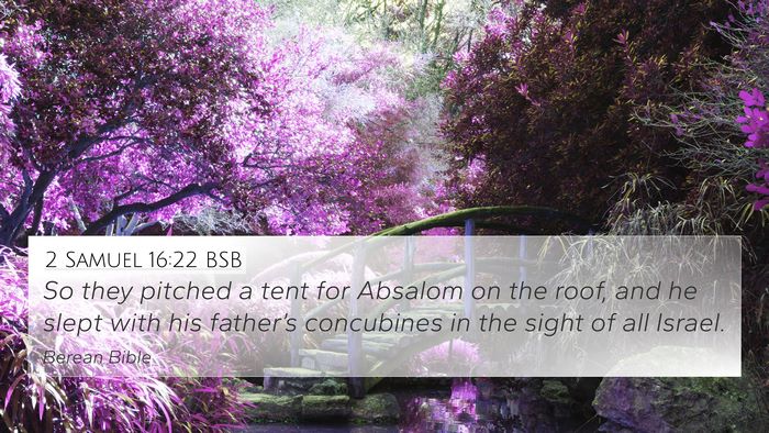 2 Samuel 16:22 BSB 4K Wallpaper - So they pitched a tent for Absalom on the roof, - 4K Wallpaper Bible Verse