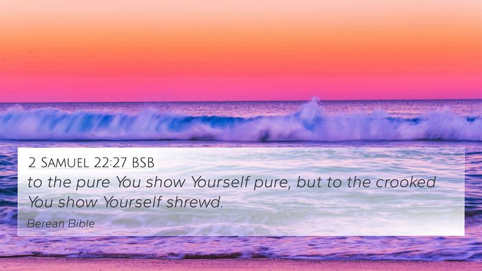 2 Samuel 22:27 BSB 4K Wallpaper - to the pure You show Yourself pure, but to the - 4K Wallpaper Bible Verse