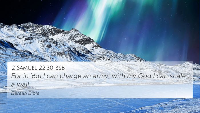 2 Samuel 22:30 BSB Bible Verse Image
