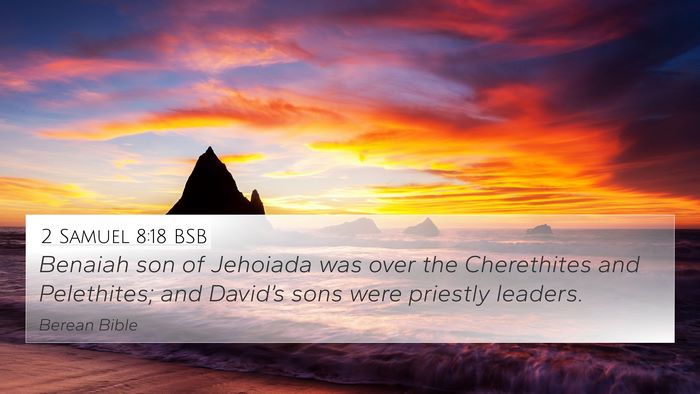 2 Samuel 8:18 BSB Bible Verse Image
