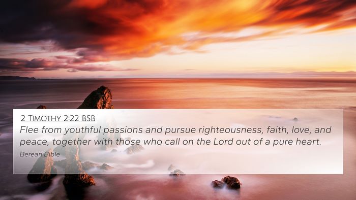 2 Timothy 2:22 BSB Bible Verse Image