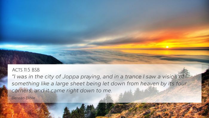 Acts 11:5 BSB Bible Verse Image