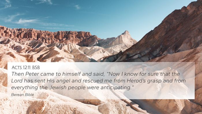 Acts 12:11 BSB Bible Verse Image