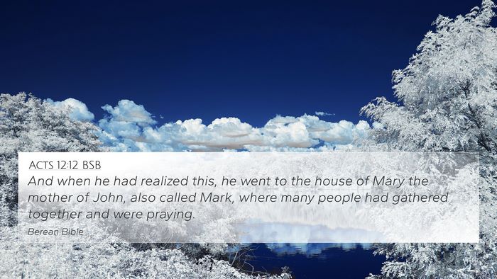 Acts 12:12 BSB Bible Verse Image