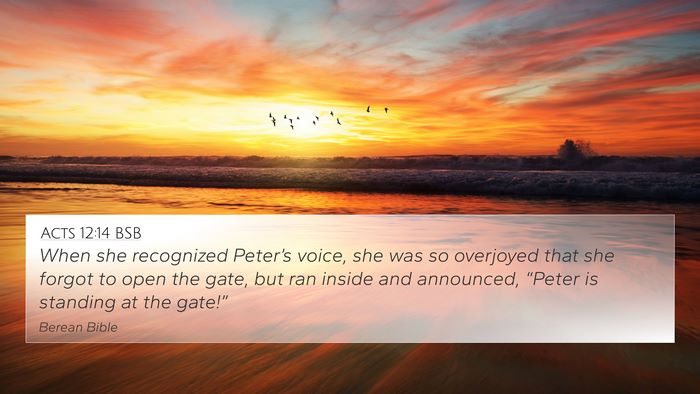 Acts 12:14 BSB 4K Wallpaper - When she recognized Peter’s voice, she was so - 4K Wallpaper Bible Verse